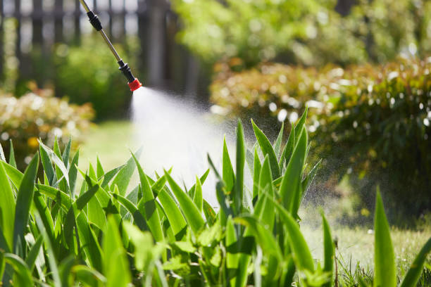 Tamper-Resistant Bait Stations for Rodents in Lyons