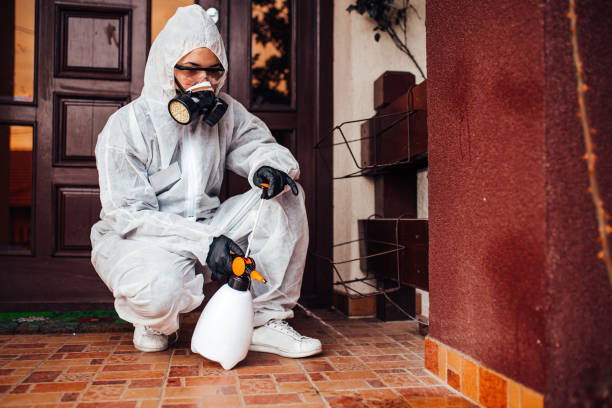 Attic and Crawl Space Rodent Treatment in Lyons